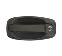 Fits BLIC 6010-07-043401P Door handle external Front Left 6010-07-043401P CITRO