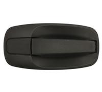 Fits BLIC 6010-09-041410P Door handle external Rear Left/Right 6010-09-041410P