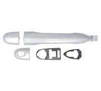 BLIC 6010-09-1213401P Door Handle