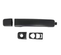 BLIC 6010-09-1224401P Door Handle