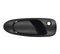 BLIC 6010-12-017402P Door Handle