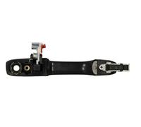 Fits BLIC 6010-12-046401P Door handle external Front Left 6010-12-046 ⭐UK Stock⭐