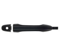 BLIC 6010-12-052401P Door Handle