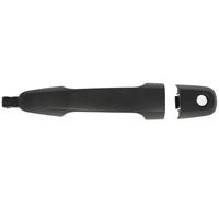 Fits BLIC 6010-15-041402P Door handle external Front Right 6010-15-04 ⭐UK Stock⭐