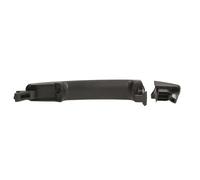 Fits BLIC 6010-16-040402P Door handle external Front Right 6010-16-04 ⭐UK Stock⭐