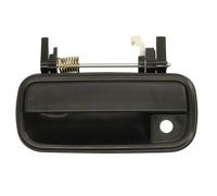 BLIC 6010-19-062401P Door Handle