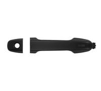 BLIC 6010-19-074401P Door Handle
