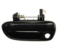 BLIC 6010-20-016401P Door Handle