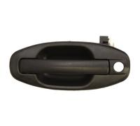 Fits BLIC 6010-20-021401P Door handle DE stock