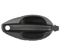 BLIC 6010-20-040402P Door Handle