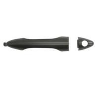 BLIC 6010-20-0568401P Door Handle