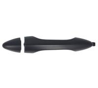 BLIC 6010-20-0568402P Door Handle