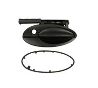 BLIC 6010-21-020402P Door Handle