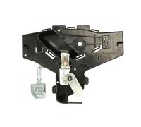 BLIC 6010-21-020409P Door Handle