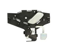 BLIC 6010-21-020409P Door Handle