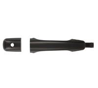 BLIC 6010-24-022401P Door Handle