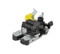 BLIC 6010-25-0054449P Tailgate lock