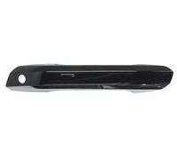 Fits BLIC 6010-25-1875401P Door handle external Front Left 6010-25-1875401P AUD
