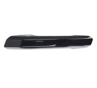 BLIC 6010-25-1875403P Door Handle