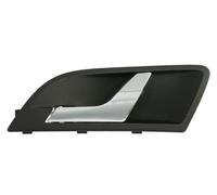 BLIC 6010-43-1318409TP Door Handle