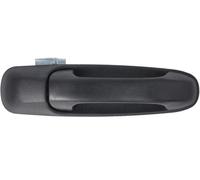 BLIC 6010-55-007402P Door Handle