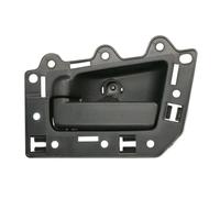 BLIC 6010-55-008409TP Door Handle