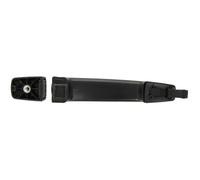 Fits BLIC 6010-56-005406P Door handle DE stock