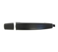 ✅Fits BLIC 6010-56-005406P Door handle external Rear Left/Right 6010 ⭐UK Seller⭐