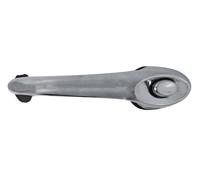 BLIC 6010-58-008403P Door Handle