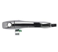 BLIC 6010-58-011401PP Door Handle