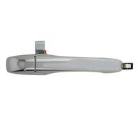 BLIC 6010-58-011402PP Door Handle