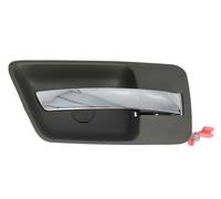 Door Handle, interior equipment BLIC 6010-58-011408PPP for 300 C 2.7 2008-2010