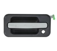 Fits BLIC 6010-88-2418401P Door handle external Front Left 6010-88-24 ⭐UK Stock⭐