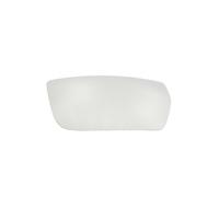 2x ✅Fits BLIC 6102-02-1222229P Side mirror glass Convex Right IVECO ⭐UK Seller⭐