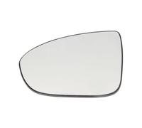 BLIC 6102-04-2002009P Wing mirror glass