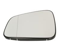 BLIC 6102-04-2002017P Wing mirror glass