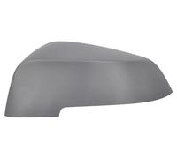 BLIC 6103-05-1637310P Wing mirror cover