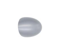 Fits BLIC 6103-09-2002217P Side mirror cover 6103-09-2002217P This ar ⭐UK Stock⭐