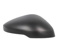 BLIC 6103-12-2501311P Wing mirror glass