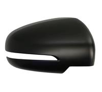 BLIC 6103-18-1384315P Wing mirror cover