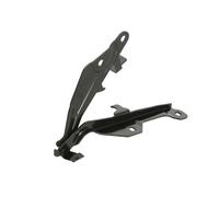 HINGE BONNET FITS: FORD USA MUSTANG MACH-E EV/FIRST EDITION/EV 4X4 I