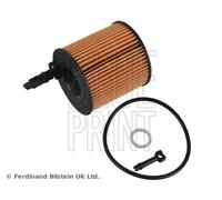 Blue Print Oil Filter ADBP210121 - Fits Hyundai Tucson, Kia Sportage - OE 26350-2M000