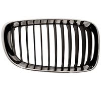BLIC 6502-07-0085992PQ Radiator Grille