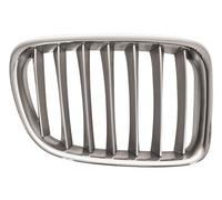 PRASCO BM7022033 Radiator Grille