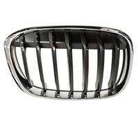 PRASCO BM7062003 Radiator Grille
