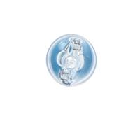 ✅Fits BOSCH 1 987 301 033 Light bulb W5W Xenon Blue (2 pcs) 12V 5W L ⭐UK Seller⭐