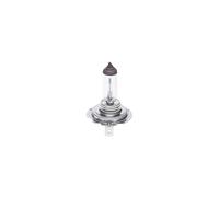 Bosch C5W (239) Pure Light Halogen Headlight Bulbs, 12 V 5 W