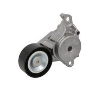 Fits BOSCH 1 987 600 395 Belt Tensioner, V-ribbed belt 1 987 600 395 Multi-V be