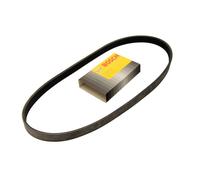 Multi V-Ribbed Belt Audi VW Opel Vauxhall Skoda Mitsubishi Seat Holden 93172397