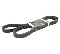 Fits BOSCH 1 987 946 285 V-Ribbed Belt DE stock
